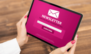 Belangganan newsletter, contoh email marketing
